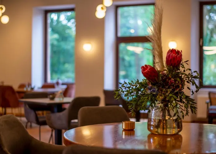 Schlosshotel & Himmelreich Braunfels Hotel Braunfels