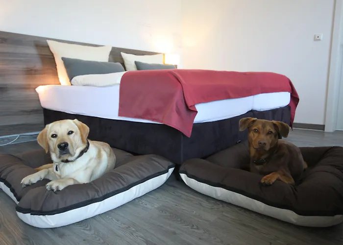 Schlosshotel & Himmelreich Braunfels Braunfels